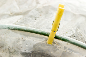 Clothespin is attached to the arc of a greenhouse