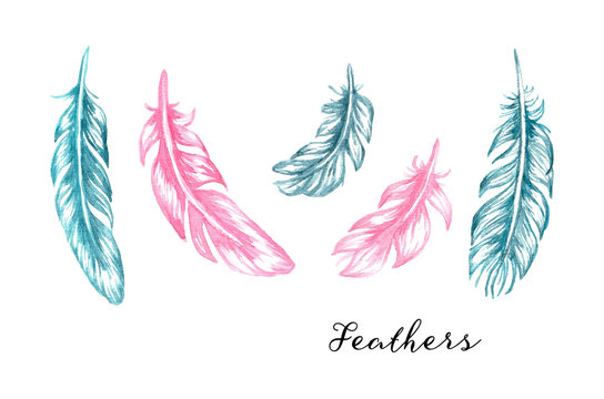 Hand drawn blue and pink watercolor feathers set for your design