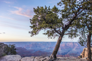 scenery around grand canyon in arizona