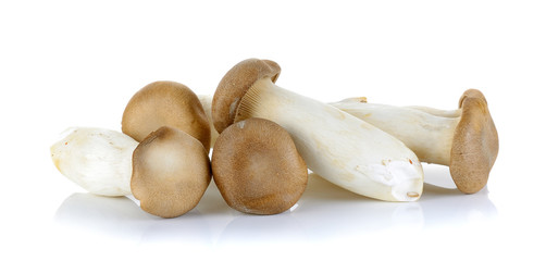 King Oyster mushroom isolated on the white background