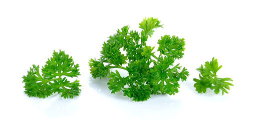 parsley isolated on the white background