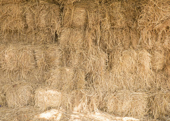 Straw texture background