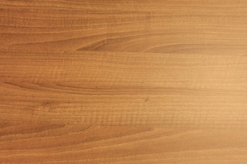 Wood Texture