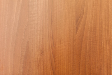 Wood Texture