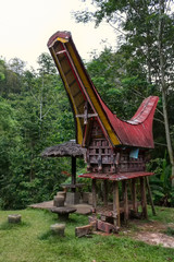 Fototapeta na wymiar Traditional village, Tana Toraja