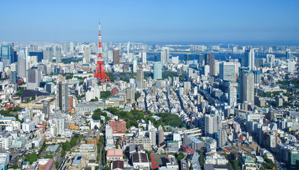 Fototapeta na wymiar Tokyo city view and Tokyo landmark Tokyo Tower.