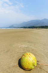 one coconut , Haikou  beach coast line  , Pingtung, Taiwan 屏