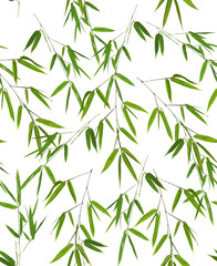 seamless background from bamboo branches