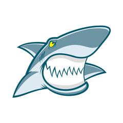 Shark mascot