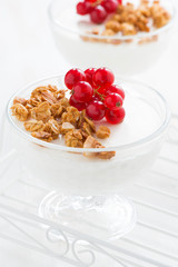 creamy panna cotta with berries and granola, vertical