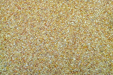 Color scree ground
