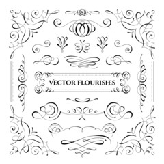 Collection of vector flourishes