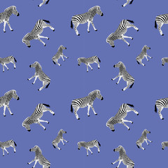 Fototapeta na wymiar Zebra seamless vector pattern