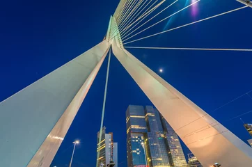 Rotterdam, Netherlands. Beautiful modern city skyline at night