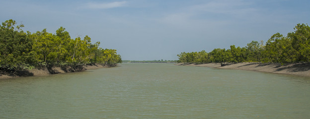 The Sundarbans © masar1920