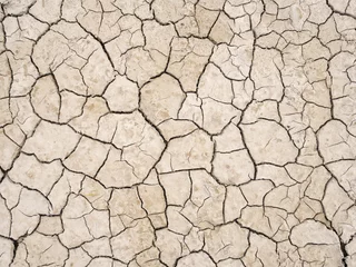 Türaufkleber Cracked earth, drought background © Mushy