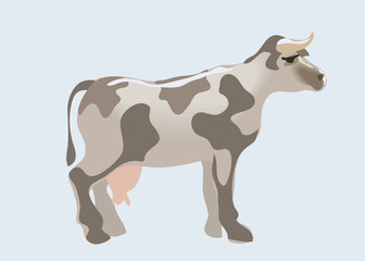 Beautiful cow. Vector