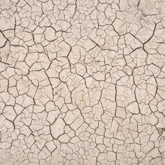 Dry, cracked earth. Drought.