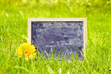 greeting card background for your text - blackboard