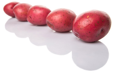 Red potato over white background