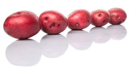Red potato over white background