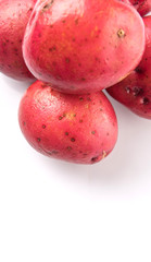 Red potato over white background