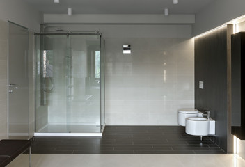 Luxury bathroom interior