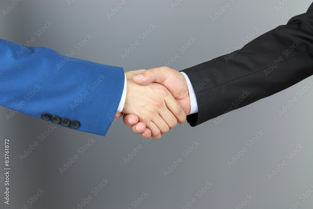 Wall mural business people handshaking