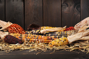 Verschiedene Maiskolben