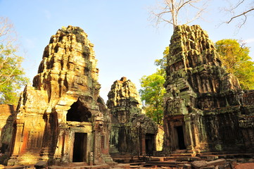 Angkor Ta Prohm Temple of Cambodia