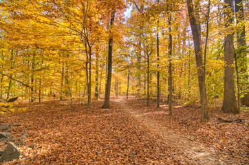 Accotink Park, Virginia