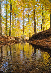 Accotink Park, Virginia