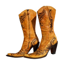 Ladies boots