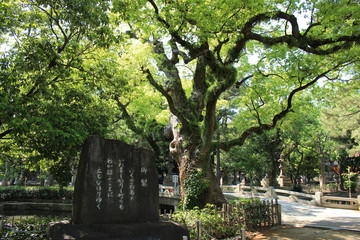 大阪観光　住吉大社