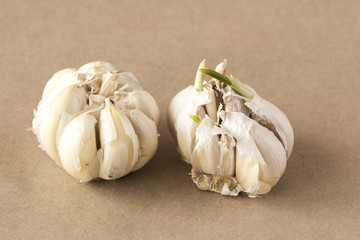 Two heads of garlic