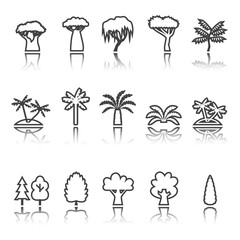 Trees linear icon set. Silhouette. Shadow reflection.