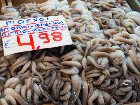 Seafood