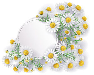 Label with Wild Chamomile Flowers