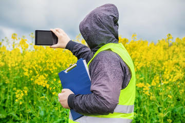 Farmer filmed with tablet PC yellow rape field