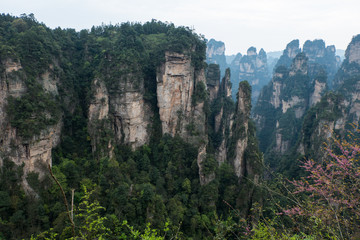 Zhangjiajie National Park, China.