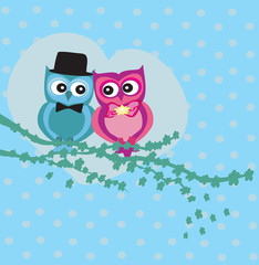 Cute owl couple in love