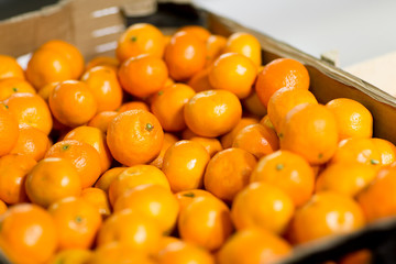 ripe mandarins at food market or farm