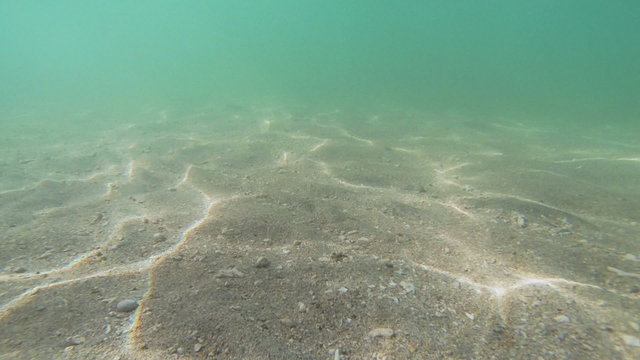 Beach Floor Background