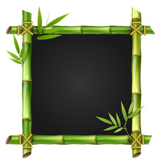 Bamboo grass frame with leafs isolated on white background