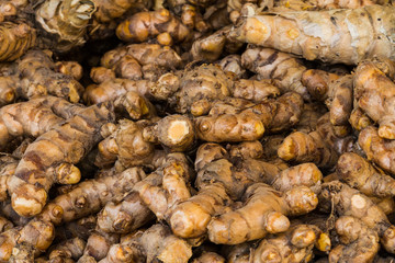 Close up fresh turmeric root (Yellow Root Zedoary)