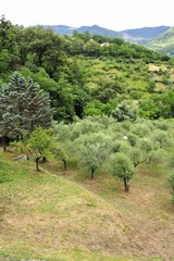 Fototapeta na wymiar Italian countryside between Firenze and Bologna.