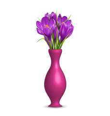 Crocuses in vase isolated on white background