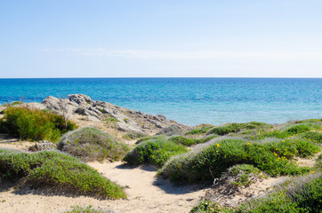 macchia mediterranea e mare blu del salento