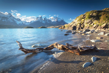 National park Torres del Paine, Patagonia, Chile - obrazy, fototapety, plakaty
