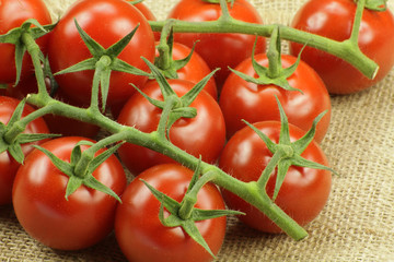 tomates cerises 22052015